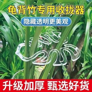 植物莖支架 植物支架 龜背芋架 龜背竹支撐桿防倒 固定支架固定器枝幹固定花盆架 花莖架 隱形支撐架 透明支架 2ZD1