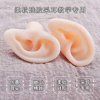 🌸臺灣出貨🌸【好評率超99%衕款】耳朵模型矽膠耳朵模擬人版埰耳工具化妝敎學用學員練習培訓用支架e0104