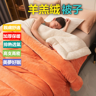 (好眠)牛奶絨羊羔絨雙層毛毯 法萊絨毯 雙層加厚 保暖毯 法蘭絨 沙發蓋毯 辦公室午休毯子 保暖冬被被子 親膚舒適 毛毯