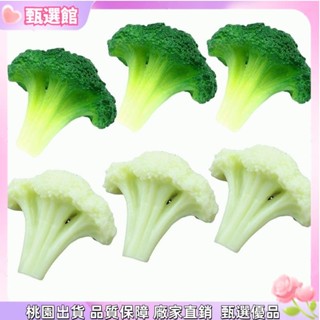 ✨模擬模型 模擬蔬菜花椰菜西蘭花模型人造食品餐廳廚房展示攝影道具模擬食物 模擬 食物 模型 全新