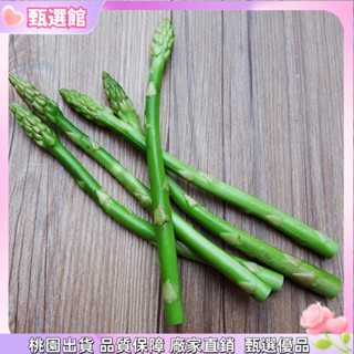 ✨模擬模型 5 件人造蘆筍模擬蔬菜模型展示道具櫥櫃展示裝飾模擬食物 模擬 食物 模型 全新