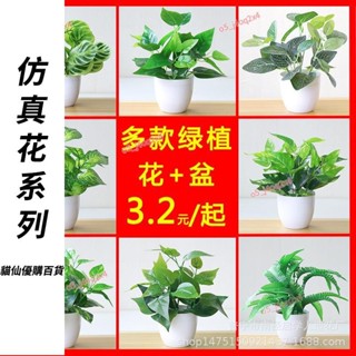 嘉義直發 仿真植物盆栽 綠蘿葉婚慶隔斷裝飾 波斯葉批發商場綠化假樹景觀草