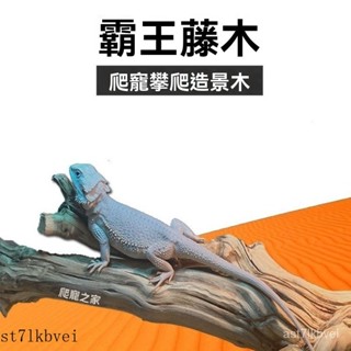 爬寵 飼養箱造景 造景躲避屋 爬蟲造景食水盆 造景 爬寵模擬造景 模擬躲避洞穴 爬寵攀爬木爬寵造景木霸王藤木熱帶鬃獅蜥蜴