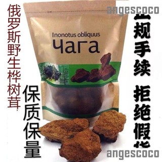 🚛ty 樺樹茸野生茶包俄羅斯進口樺褐孔菌西伯利亞白樺茸俄羅斯樺樹茸