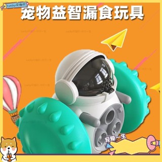 🐶寵物館🐶狗狗玩具 藏食玩具 餵食器 漏食球 漏食玩具 慢食器 藏食 漏食不倒翁 益智車qwe