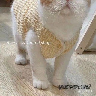瀚海寵物🌈臺灣現貨 24h出貨 可愛毛綫馬甲寵物2024秋冬季貓咪衣服布偶藍貓狗狗加絨保暖小背心