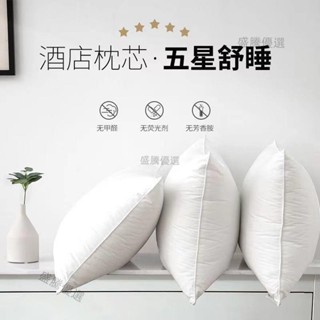 💥臺灣出貨💥中高枕頭枕芯深度睡眠枕護頸枕 頸枕 記憶枕 頭枕 助眠枕 飯店枕頭 民宿枕頭 吸濕透氣 可水洗 防蟎抗菌