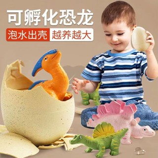 兒童玩具 恐龍玩具 恐龍蛋孵化泡水抖音同款膨脹泡水變大霸王龍玩具兒童禮物模擬動物