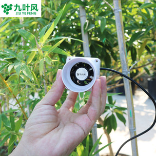 2寸免打孔小型強力抽風機3寸75管道換氣扇迷你50pvc微型排氣扇12v
