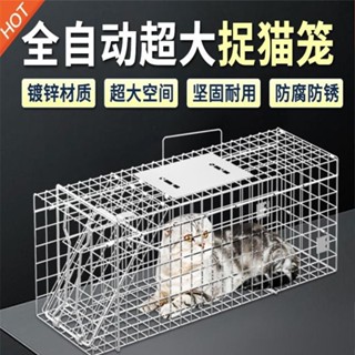 【臺灣發貨】捕貓籠全自動踏板式抓貓神器捕貓神器大號家用新款靈敏捉野貓神器 捕鼠器 捕鼠籠 抓老鼠 捕鼠神器 滅鼠 驅鼠