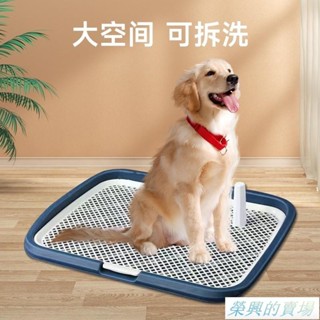寵物尿盆 寵物尿墊 寵物尿盆 狗便盆 寵物便盆 狗狗尿盆 寵物尿盤 狗用品 防濺狗廁所 寵物訓練 寵物用品 尿盆 rx1