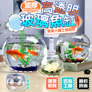臺灣出貨 球形金魚缸 加厚高透明玻璃魚缸 圓形魚缸客廳辦公桌迷你烏龜缸 傢用小型金魚缸 水培造景 金魚缸造景圓形桌面魚缸