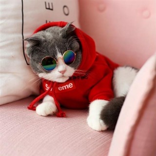😸獨寵一身 Sup貓咪衣服 韓版時尚寵物衣服 連帽狗狗貓咪衛衣 小狗衣服 日本純棉彈力貓咪衣服 柔軟頭套 可愛 卡通