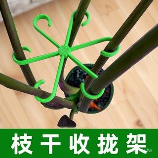 植物莖支架 植物支架 龜背芋架 龜背竹支撐固定器防倒伏春羽支架水培枝幹收攏架花盆園藝花卉綠植 花莖架 支撐架 EB7X