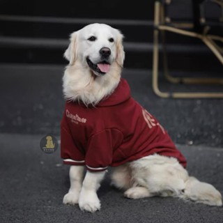🐕‍🦺寵到家 狗狗衣服秋冬款大型犬狗衣服冬季保暖衛衣金毛聖誕衣服狗衣服過年 寵物服裝 寵物衣服 搞怪衣服