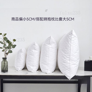 抱枕 枕頭 靠枕 枕芯 抱枕芯 抱睡枕 大抱枕 小抱枕 頭靠枕 方形抱枕 沙發靠枕 白鵝毛抱枕 環保羽絨抱枕