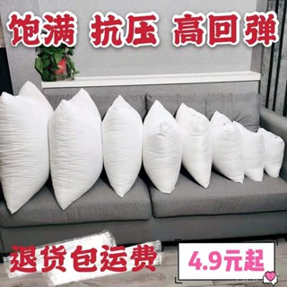 🍁限時下殺🍁枕心 抱枕心 抱枕 枕頭 多種尺寸 水洗 枕芯 可客製尺寸 枕心 抱枕心 抱枕 枕頭 J0RW