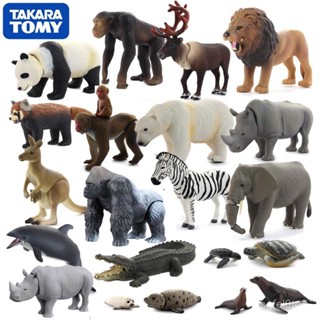 ✨限時下殺✨ 日本TOMY正版散貨多美卡可動模擬動物模型野生動物老虎獅兒童玩具