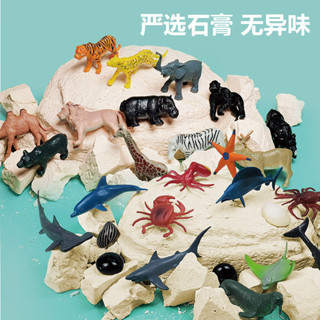 💖低價免運熱銷🔥兒童認知模擬海洋野生動物模型恐龍玩具崑蟲擺件實心套裝考古挖掘 益智玩具 兒童玩具 A5FV