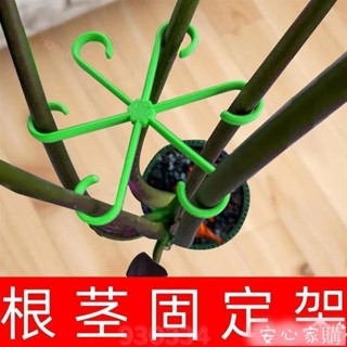 💯桃園出貨🚚 植物莖支架 植物支架 龜背芋架 龜背竹支撐固定器防倒伏春羽支架水培枝幹收攏架花盆園藝花卉綠植 花莖架