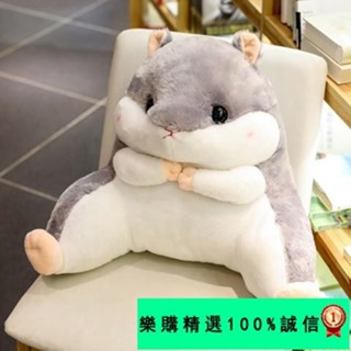 🚀臺灣發貨⚡+龍貓倉鼠學生腰靠椅子護腰枕靠枕靠背靠墊汽車辦公室抱枕被子兩用
