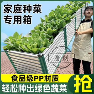 【智創】原起點白綠種植箱蔬菜種植箱戶外庭院樓頂室內種菜盆家庭菜園花盆
