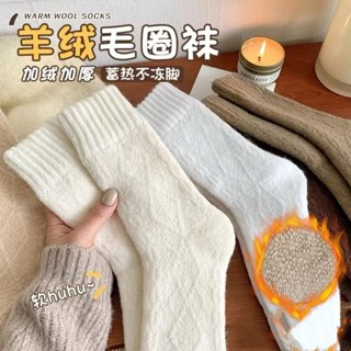 🔥下殺價 【巨厚】冬季保暖加厚款不起球睡眠加絨女士長筒襪冬天必備用品 加絨襪子保暖襪子