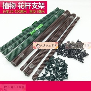 六月 百貨蝴蝶蘭支架植物花卉固定夾子盆綠植花桿子秋海棠金錢樹園藝支撐桿LYBH