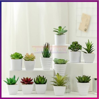 🌺滿額免運🌺樹膠花 假花 仿真花 植物模擬盆栽多肉植物仿真植物仙人掌模擬擺件辦公桌面裝飾書桌擺件仿真花盆栽