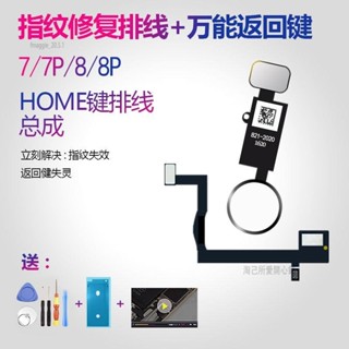 淘己🌟▧● 適用iPhone7指紋修復排線蘋果8返回延長p按鍵Plus螢幕HOME鍵總成