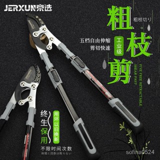 京選伸縮粗枝剪修枝剪樹枝園林剪刀果樹修剪省力高枝高空剪枝剪刀【臺灣出貨】 AW1Q