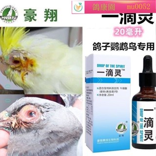 💕鴿康園 一滴靈 豪翔 衣原體 鴿子 單眼傷風 眼水 支原體 流淚 鸚鵡 賽鴿 豪鴿 幼鴿