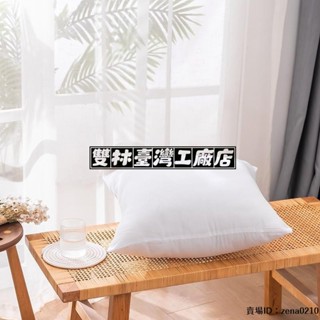 全場優惠🔅40x40cm45x45cm枕芯無紡布柔軟羽絲棉抱辦公室沙髮多用款親膚透氣枕芯家用抱枕芯