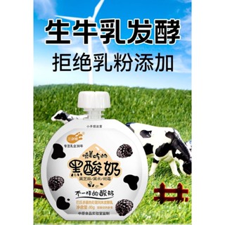 超好吃！三劍客黑痠奶益生菌髮酵希臘風味嚼痠奶80g袋裝