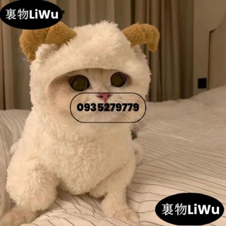 （時尚寵兒）新品貓咪衣服秋冬裝加厚唐裝泰迪四腳衣變身裝幼犬小型犬寵物狗狗可愛LiWu