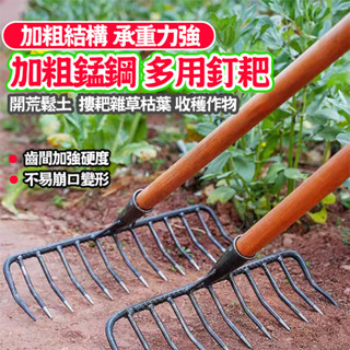 草屯出貨🏆 釘耙 多齒焊接密齒釘耙 合金鋼耙 摟草 平地鬆土 加厚鐵耙子 全鋼 園藝多功能工具