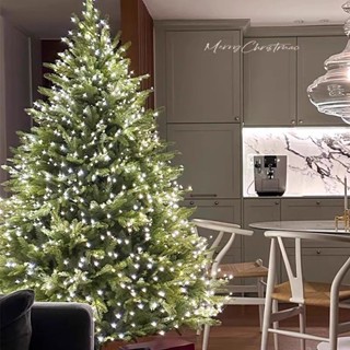 聖誕節 裝飾 Christmas 聖誕樹 家用大型模擬加密聖誕節場景裝飾ins風diy擺件2024新款套餐 四季沐歌