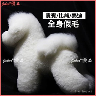 可開發票 Mr.Jiang寵物美容假狗毛片模型 模特泰迪裝貴賓拉姆練習模擬狗毛 泰迪貴賓假毛➕新假體 練習#假狗#假狗毛