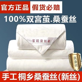 蠶絲被100%正宗桑蠶絲純天然春秋夏涼空調冬季加厚被芯高檔子母被 47LU
