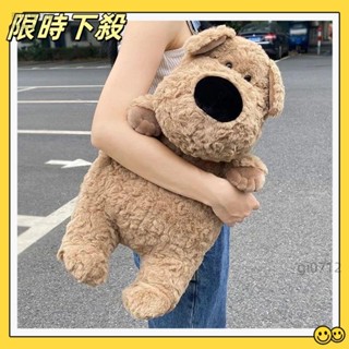 🔥臺灣熱賣🔥大鼻狗玩偶 小狗抱枕 毛絨玩具 狗狗玩偶 大鼻狗公仔 生日禮物 交換禮 小狗玩偶 沙發抱枕 床頭 夾腿
