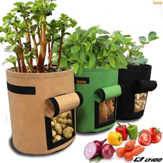 【園藝用品】土豆種植盆 花生種植盆 紅薯種植盆 芋頭種植袋 家庭陽臺種菜箱 控根蔬菜花盆lyys04