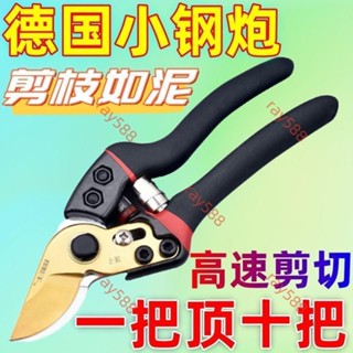 桃園發貨 下殺 多功能園藝剪刀 花剪 果樹剪 花枝剪刀 修枝剪 樹枝剪 花藝剪 粗枝剪刀