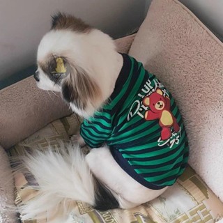 🔥全臺最低！ 貓咪衣服寵物衣服狗衣服狗雨衣狗狗春天衣服彈力純棉寵物背心中小型犬衣服泰迪吉娃四季通用ins