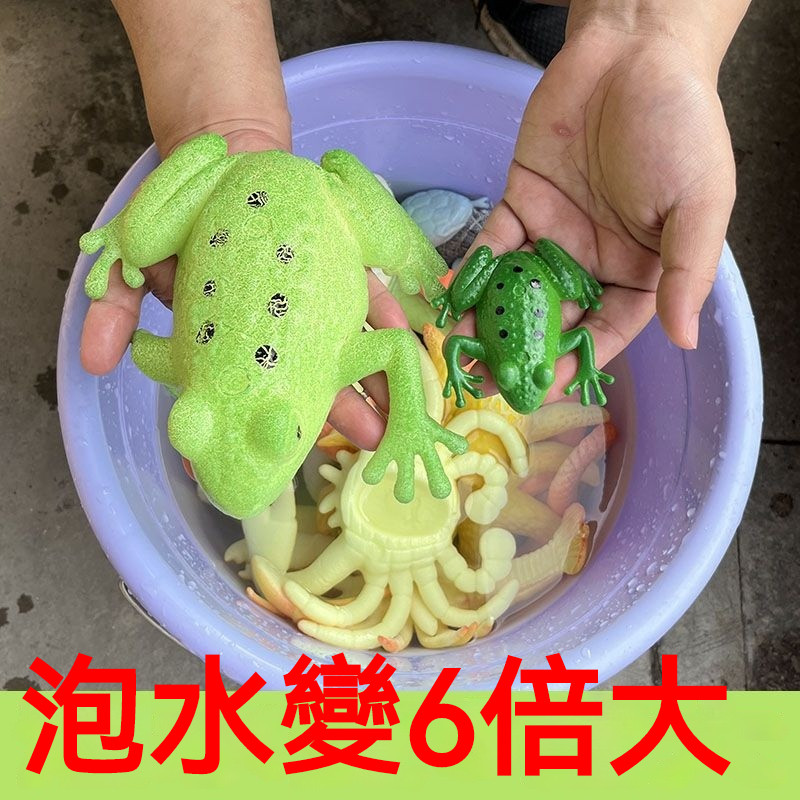 泡水膨脹動物 遇水膨脹 大海洋陸地吸水 仿真動物 大蜥蜴 青蛙 鱷魚 蛇 玩具 海洋世界 孵化玩具 泡水玩具