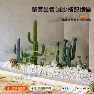模擬仙人掌造景球形熱帶植物盆栽櫥窗室內大型景觀戶外綠植裝飾?一口榴蓮?優選
