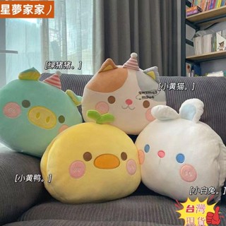 🎇桃園出貨+發票🎉卡通動物暖手捂 插手抱枕 午睡枕頭 學生午休趴睡枕 女生寶寶捂手抱枕laiz2