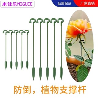 植物支撐架 盆栽支架 植物花架 植物支架 植物支撐桿 陽臺花架 園藝支架 蘭花支架 花盆支撐架 葉架 蝴蝶蘭 花卉支撐桿