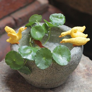 禪道緣 創意銅錢草水培小鴨子花盆擺件個性裝飾仿石臼多肉植物微景觀盆栽