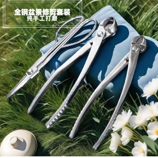 樹枝剪 園藝 盆景 工具球節剪刀不銹鋼葉芽專用手工球形修剪套裝造型