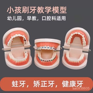 【艾米的賣場】牙科兒童早敎刷牙模型練習假牙口腔敎學牙齒標準幼兒園模擬模具